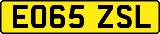 EO65ZSL