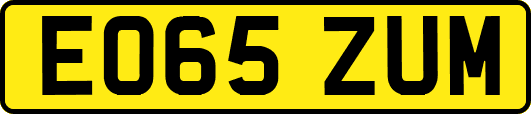 EO65ZUM