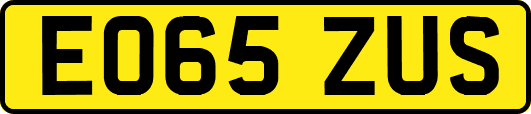 EO65ZUS