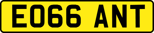 EO66ANT