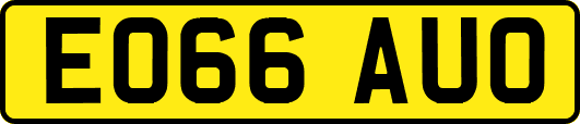 EO66AUO