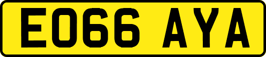 EO66AYA