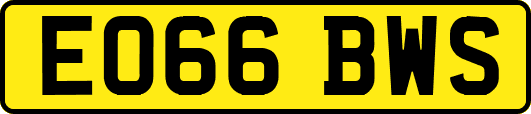 EO66BWS