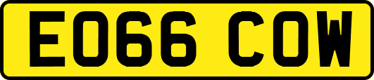 EO66COW