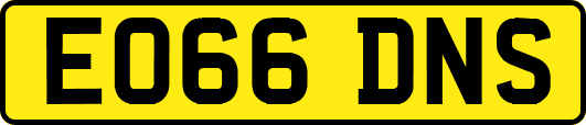 EO66DNS