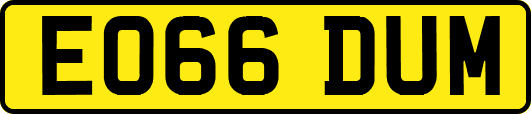 EO66DUM
