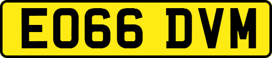EO66DVM