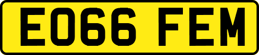 EO66FEM