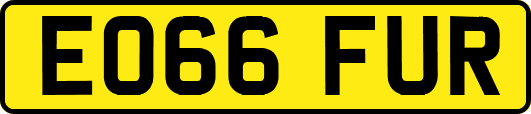 EO66FUR