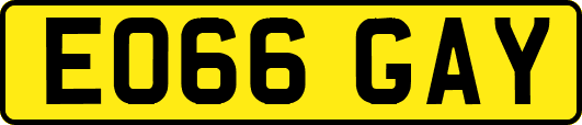 EO66GAY