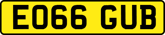 EO66GUB