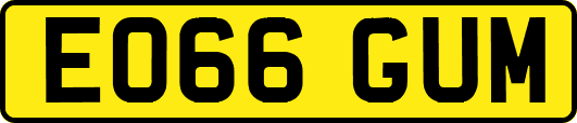 EO66GUM
