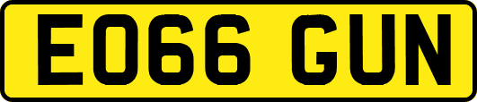 EO66GUN