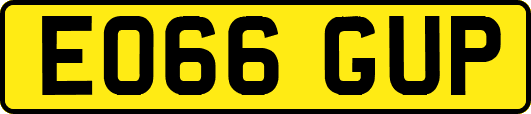 EO66GUP