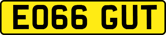 EO66GUT