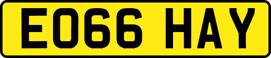 EO66HAY