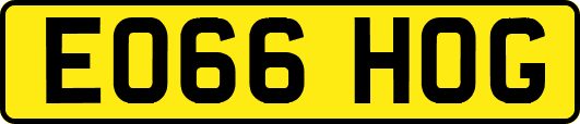 EO66HOG
