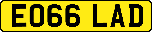 EO66LAD