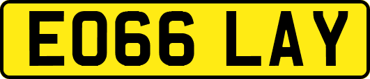 EO66LAY