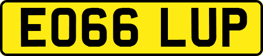 EO66LUP