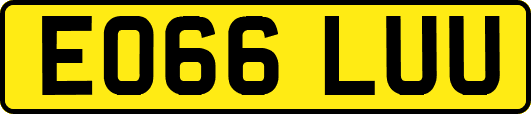 EO66LUU