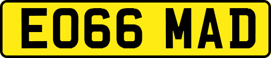 EO66MAD