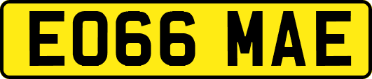 EO66MAE