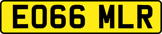 EO66MLR