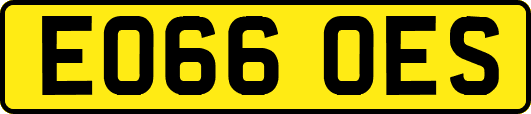 EO66OES