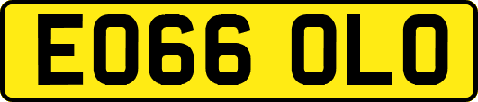 EO66OLO