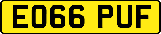 EO66PUF