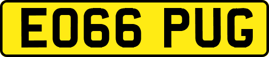 EO66PUG