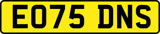 EO75DNS
