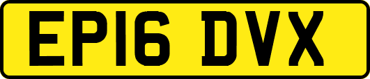 EP16DVX