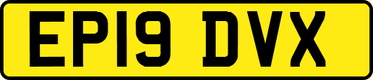 EP19DVX