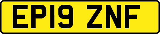 EP19ZNF