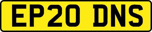 EP20DNS