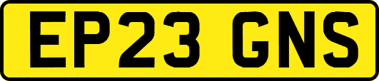 EP23GNS