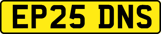EP25DNS
