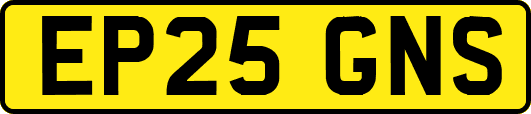EP25GNS