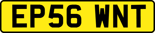 EP56WNT
