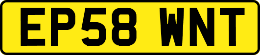 EP58WNT