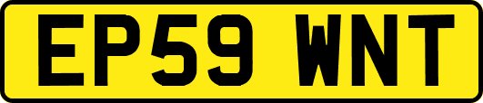 EP59WNT
