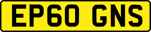 EP60GNS