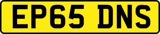 EP65DNS