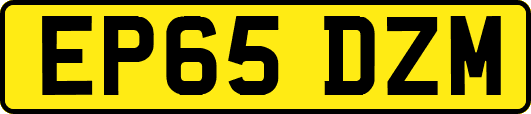 EP65DZM