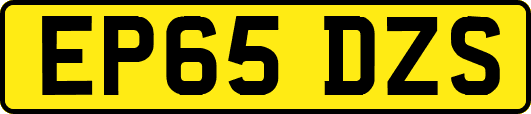 EP65DZS