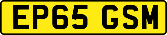 EP65GSM