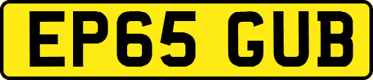 EP65GUB