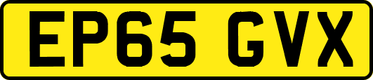 EP65GVX